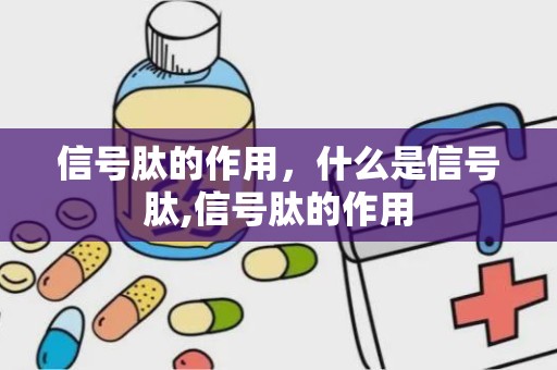 信号肽的作用，什么是信号肽,信号肽的作用