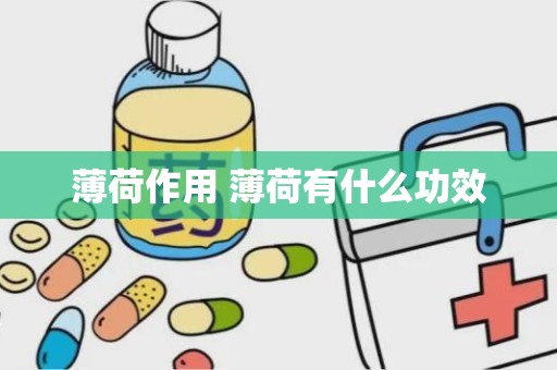 薄荷作用 薄荷有什么功效