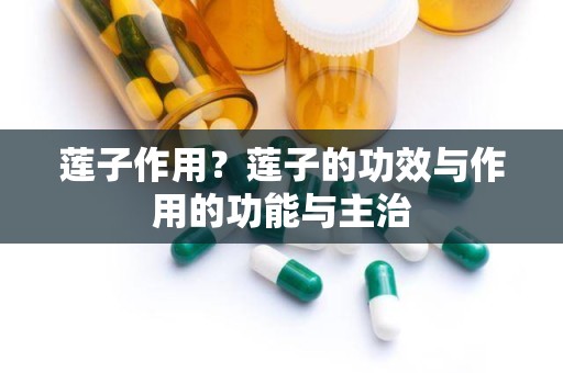 莲子作用？莲子的功效与作用的功能与主治