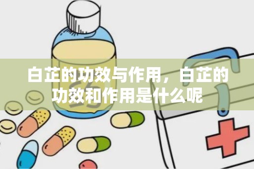 白芷的功效与作用，白芷的功效和作用是什么呢