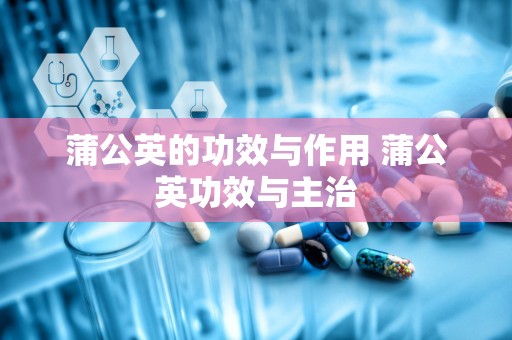 蒲公英的功效与作用 蒲公英功效与主治