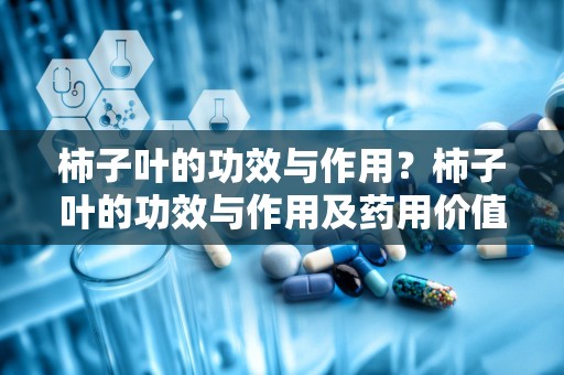 柿子叶的功效与作用？柿子叶的功效与作用及药用价值