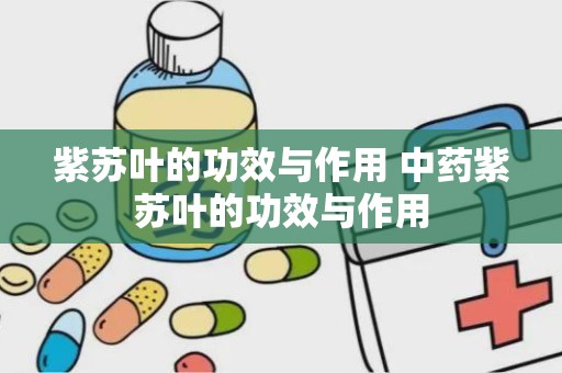 紫苏叶的功效与作用 中药紫苏叶的功效与作用