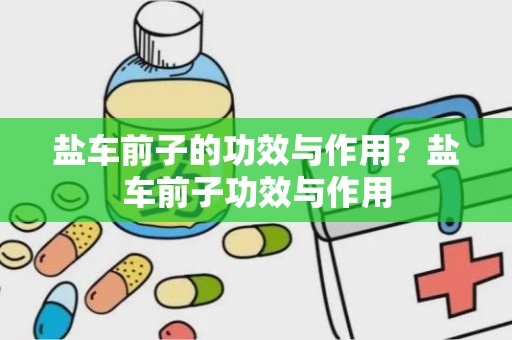 盐车前子的功效与作用？盐车前子功效与作用