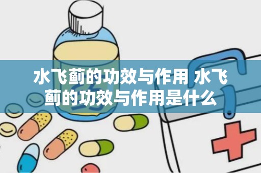 水飞蓟的功效与作用 水飞蓟的功效与作用是什么