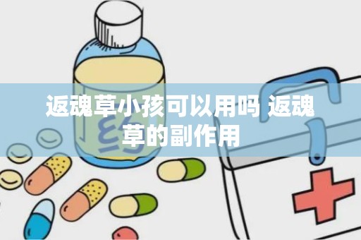 返魂草小孩可以用吗 返魂草的副作用