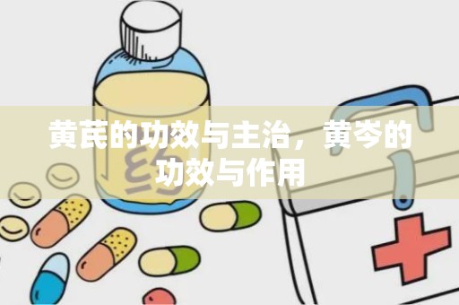 黄芪的功效与主治，黄岑的功效与作用