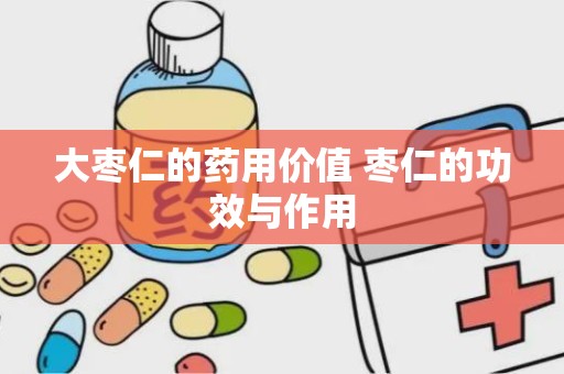 大枣仁的药用价值 枣仁的功效与作用