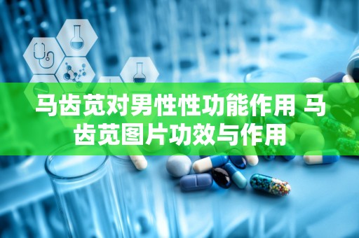 马齿苋对男性性功能作用 马齿苋图片功效与作用