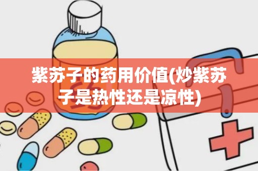 紫苏子的药用价值(炒紫苏子是热性还是凉性)