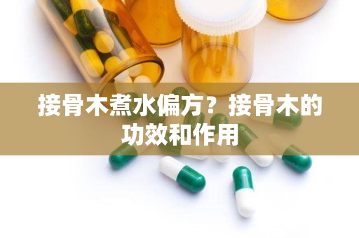 接骨木煮水偏方？接骨木的功效和作用