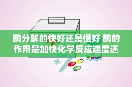 酶分解的快好还是慢好 酶的作用是加快化学反应速度还是促进营养物质的吸收