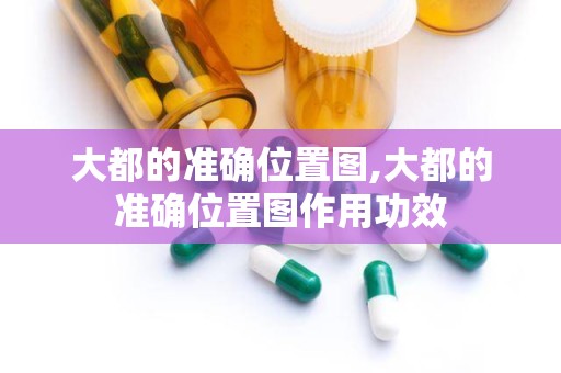 大都的准确位置图,大都的准确位置图作用功效