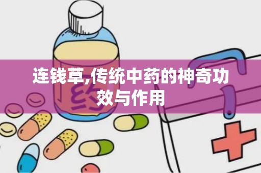 连钱草,传统中药的神奇功效与作用