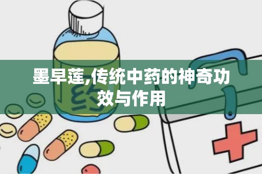 墨早莲,传统中药的神奇功效与作用