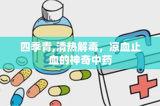 四季青,清热解毒，凉血止血的神奇中药