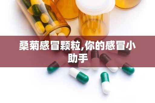 桑菊感冒颗粒,你的感冒小助手