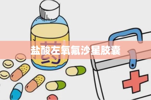 盐酸左氧氟沙星胶囊