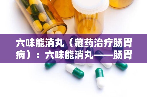 六味能消丸（藏药治疗肠胃病）：六味能消丸——肠胃健康守护神